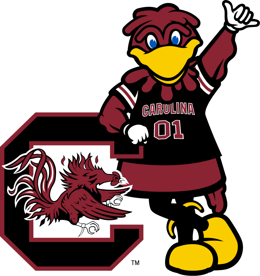 South Carolina Gamecocks 2014-2018 Mascot Logo iron on transfers for clothing